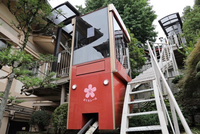 🏯 마츠치야마 혼류인 (마츠치야마 쇼덴) 이미지 2